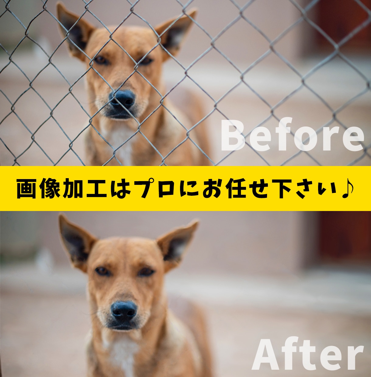 最安値！即日納品OK！プロが写真・画像加工致します 切り抜き・合成何でもOK♪他ではマネできない画像を作成可能♪ イメージ2