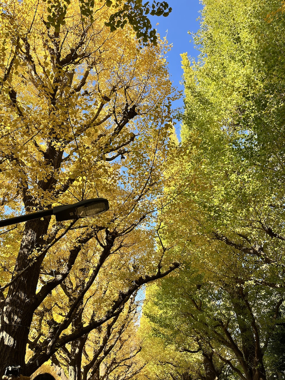 否定はしません。受け入れます 私はあなたの話を聞きたい。つまらない時間潰しにどうぞ。 イメージ1