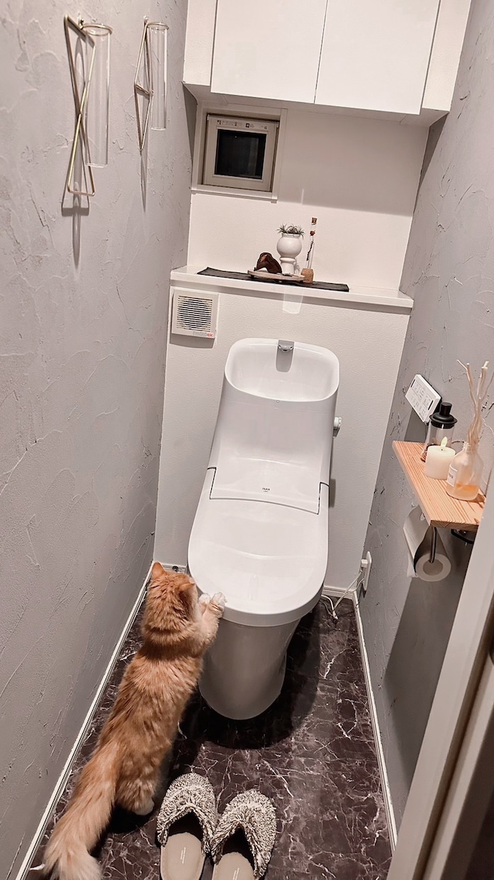 オシャレな部屋に変身させます 格安で誰からも羨ましがられる超オシャレな壁や部屋にします！ イメージ1