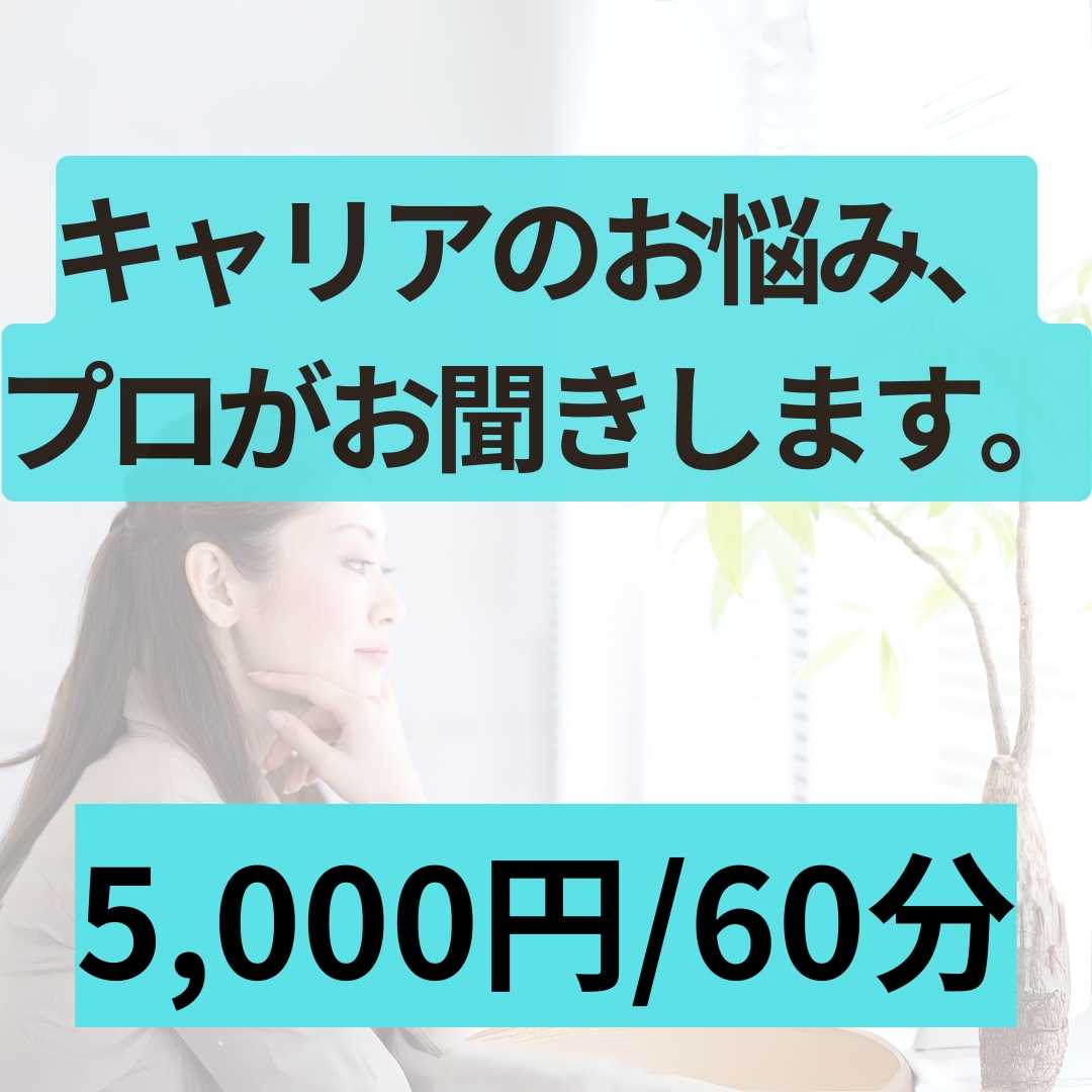 資格保有者がキャリアのお悩みお聞きします 現役キャリアコンサルタント（職業訓練校からの委託実績あり） イメージ1