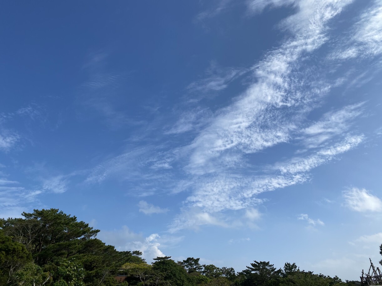 統合失調症の方やご家族の方の相談にのります 人間関係やご自身に悩みをお持ちの方にお勧めです イメージ1