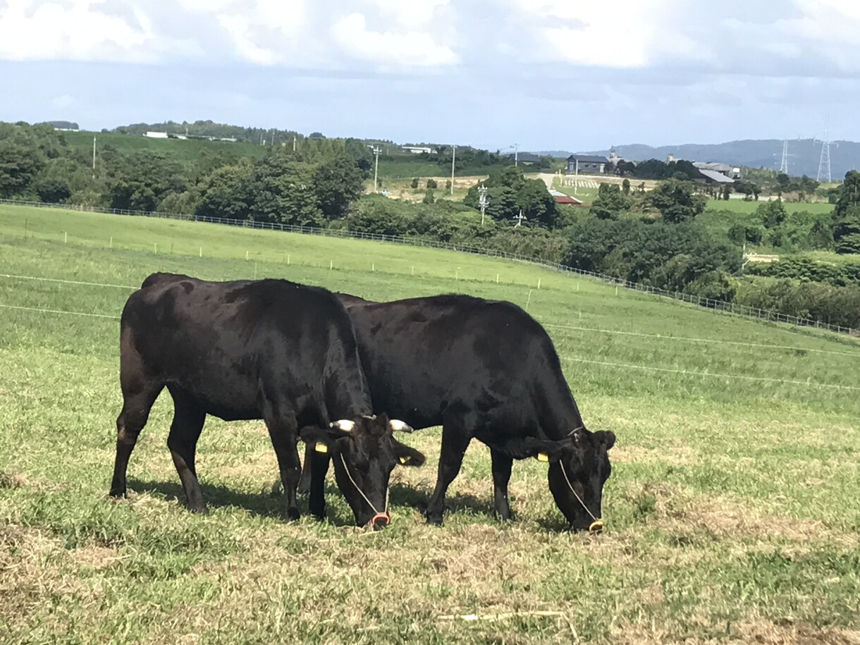 福井県の面白さ教えます 福井県ってどんなところか気になる方へ イメージ1