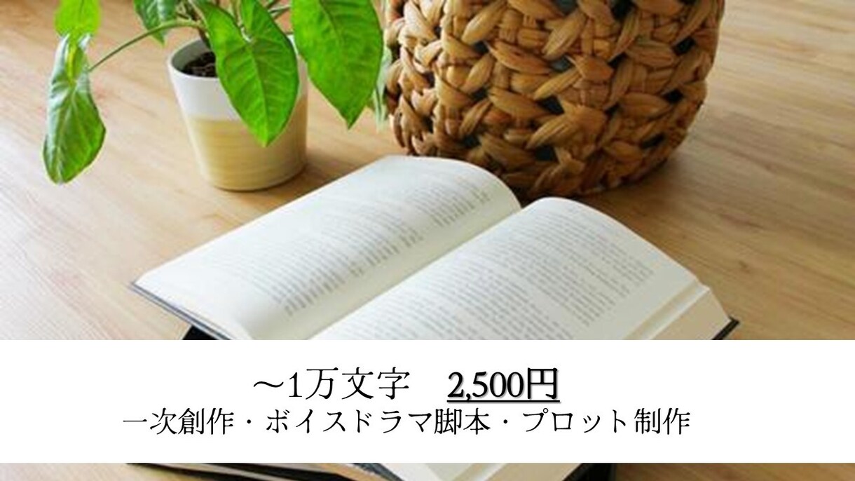 用途自由！格安でオリジナル小説執筆します 長編小説、脚本、台本、プロットなどどんな用途にも イメージ1