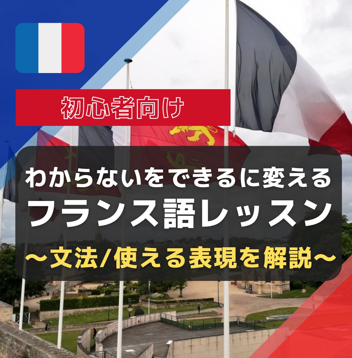 初心者のあなた向け！フランス語を教えます 「わからない」を「できる」に変える！ イメージ1