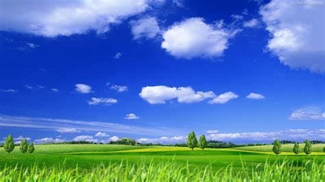 安らぎをあなたに…直傳靈氣✦遠隔で施術いたします 施術30分✿体験からリピーターまで対応✿勿論ペットもOKです イメージ1