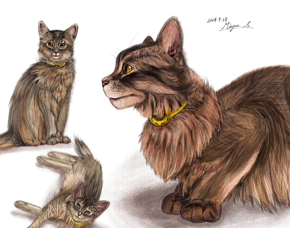 目を引く1枚絵描きます アイコン、夢絵、商用利用、なんでも可！ イメージ8