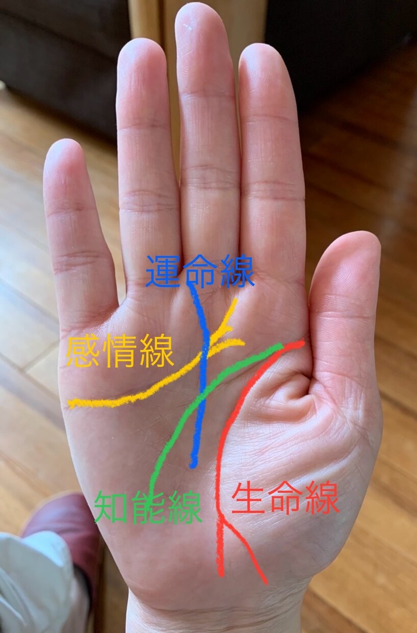 画像付き　手相占い✋メインの線について解説します 48時間以内に鑑定結果をご連絡します。 イメージ3