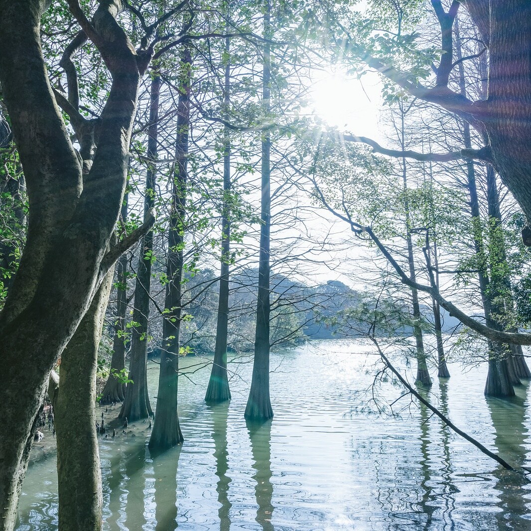 快適な空気を提供します 室内、職場のニオイで困ってる方 イメージ1