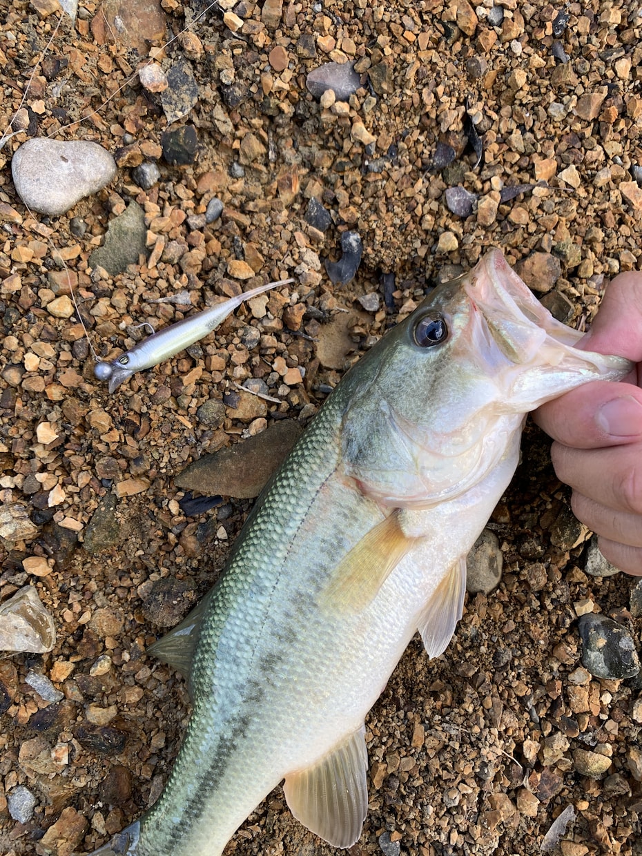 和歌山県御坊市でバス釣りポイント教えます ネットには載っていない和歌山でバス釣りができる野池教えます イメージ1