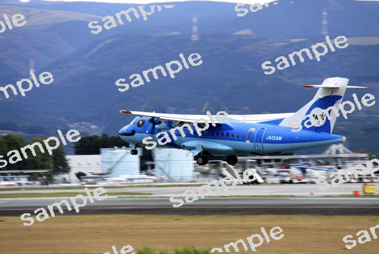 飛行機を撮影します 1年間に数千枚の撮影を行っております。 イメージ6