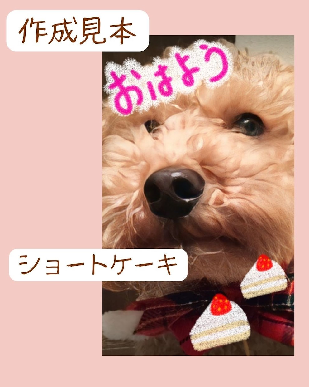 ペットのお写真でLINEのBIGスタンプ作成します スイーツのイラスト＆文字を写真に描いたスタンプになります イメージ6