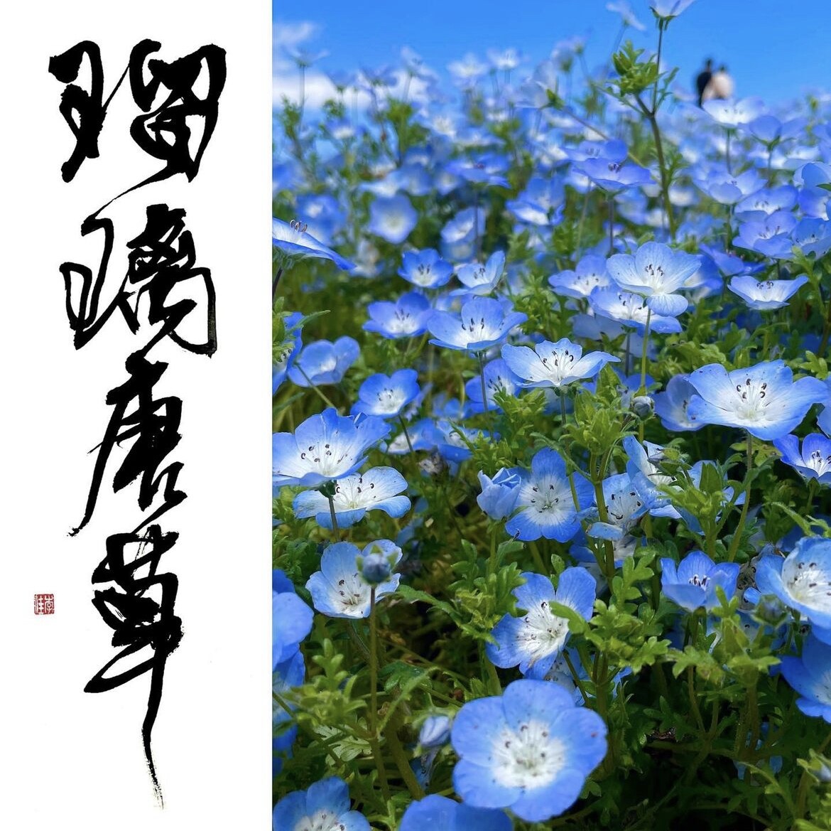 あなたのイメージを私が書道で形にします オリジナルロゴが必要な方へ、私の書道の力をお貸しします！ イメージ10