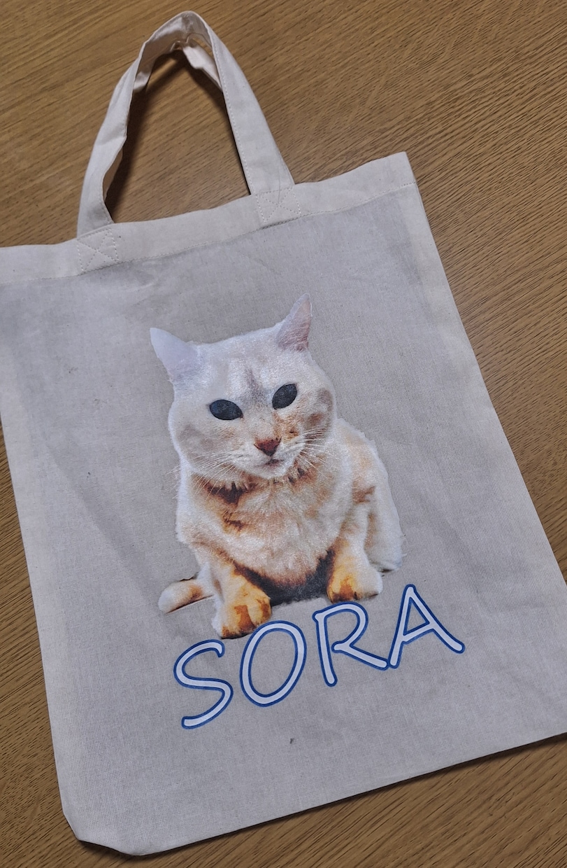 イラストや写真をTシャツやバッグにプリントします 1点からご注文可能。布製品へのプリントはお任せください。 イメージ1