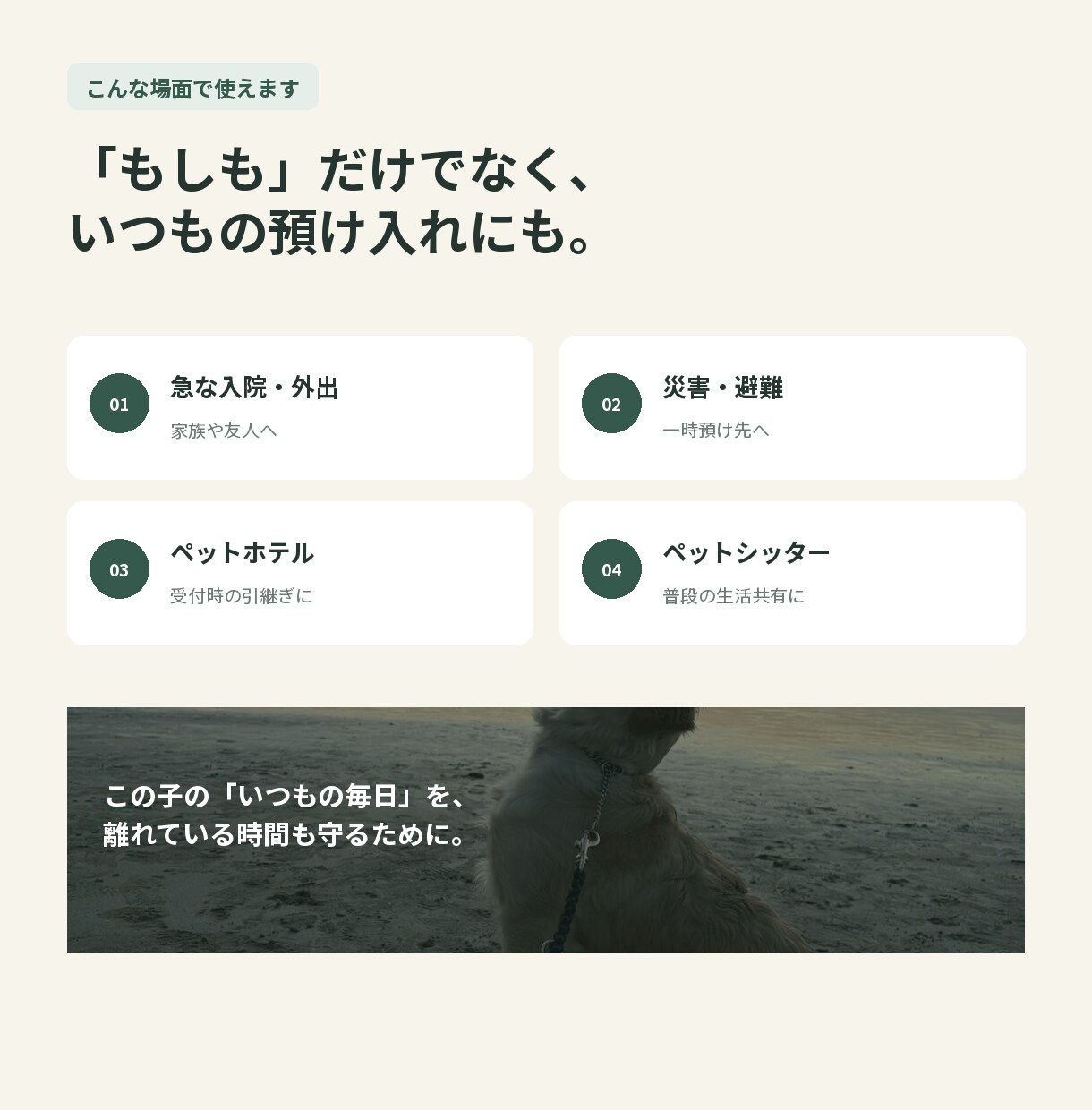 もしもの時のペット専用引継ぎ書を作ります 質問に答えるだけで入院・災害・急な預け入れの備えが完成します イメージ9