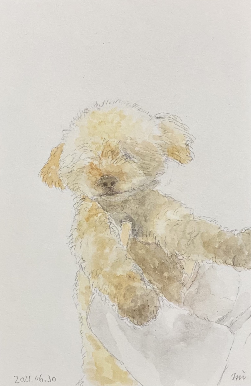 大切な動物さん達を描かせていただきます 水彩で優しい雰囲気のイラストを描かせていただきます。 イメージ2