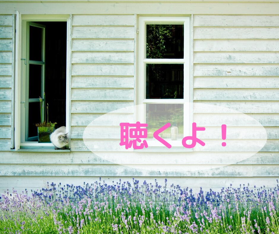 HSPの分かってもらえない気持ちをそのまま聴きます ♡同じHSP安心して話してください。心がほぐれていきますよ。 イメージ1