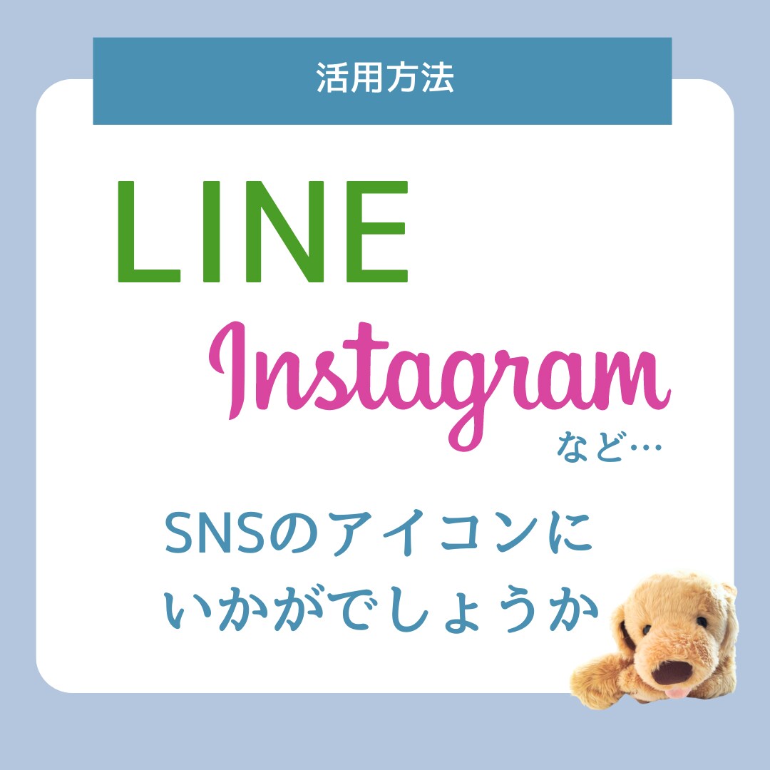 愛するペットをよりかわいいアイコンに仕上げます 可愛い我が子をLINEなどのアイコンでずっとそばに。 イメージ3