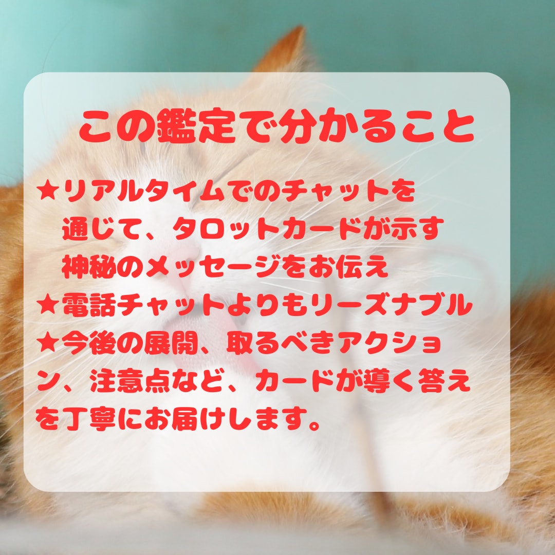 恋も仕事も即解決✨リアルタイムチャット占い致します 定期購入可★30分占い放題✨運命が変わる神託の時間 イメージ2