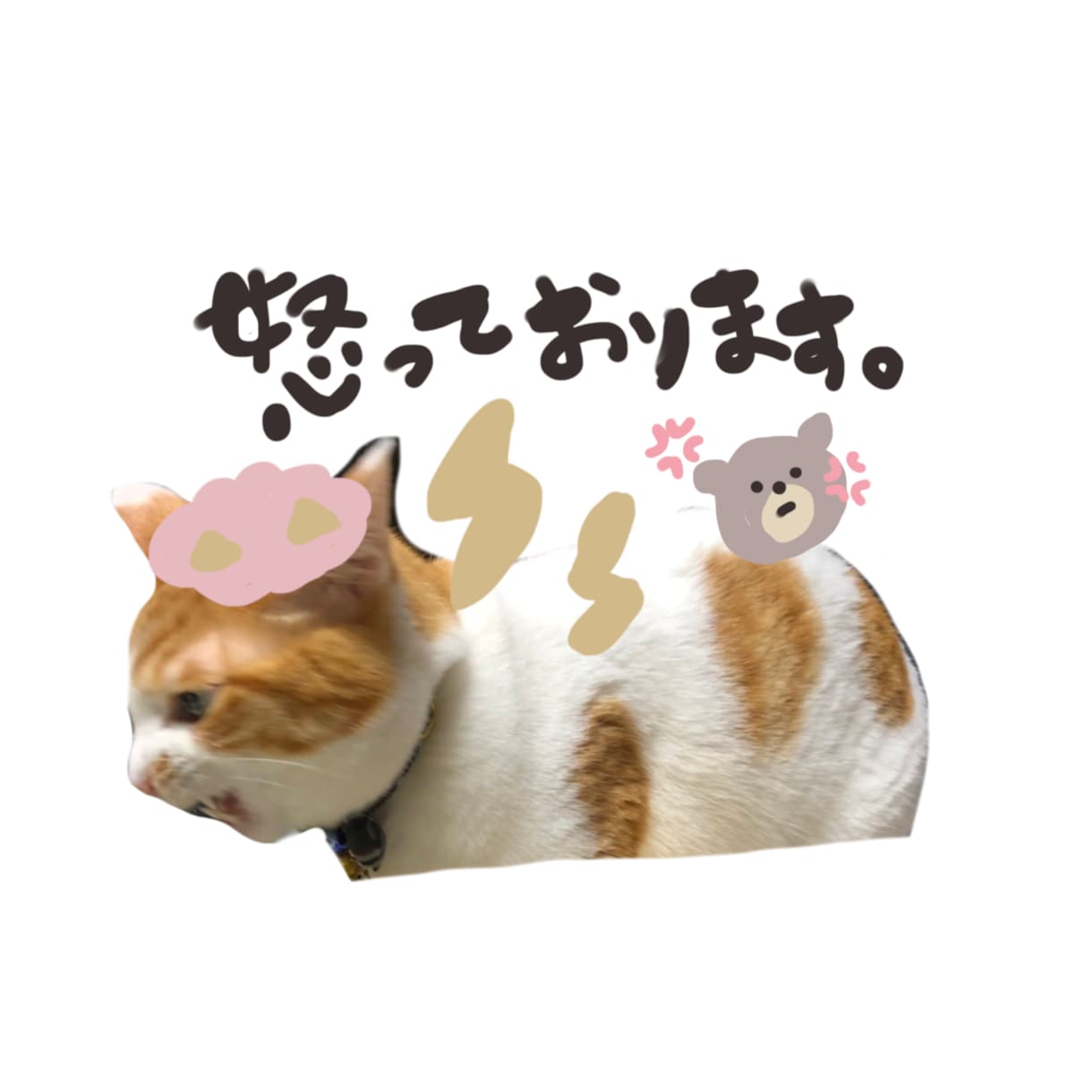ゆるかわいいLINEスタンプ作成致します お写真とゆるかわいいイラストでオリジナルLINEスタンプ イメージ8