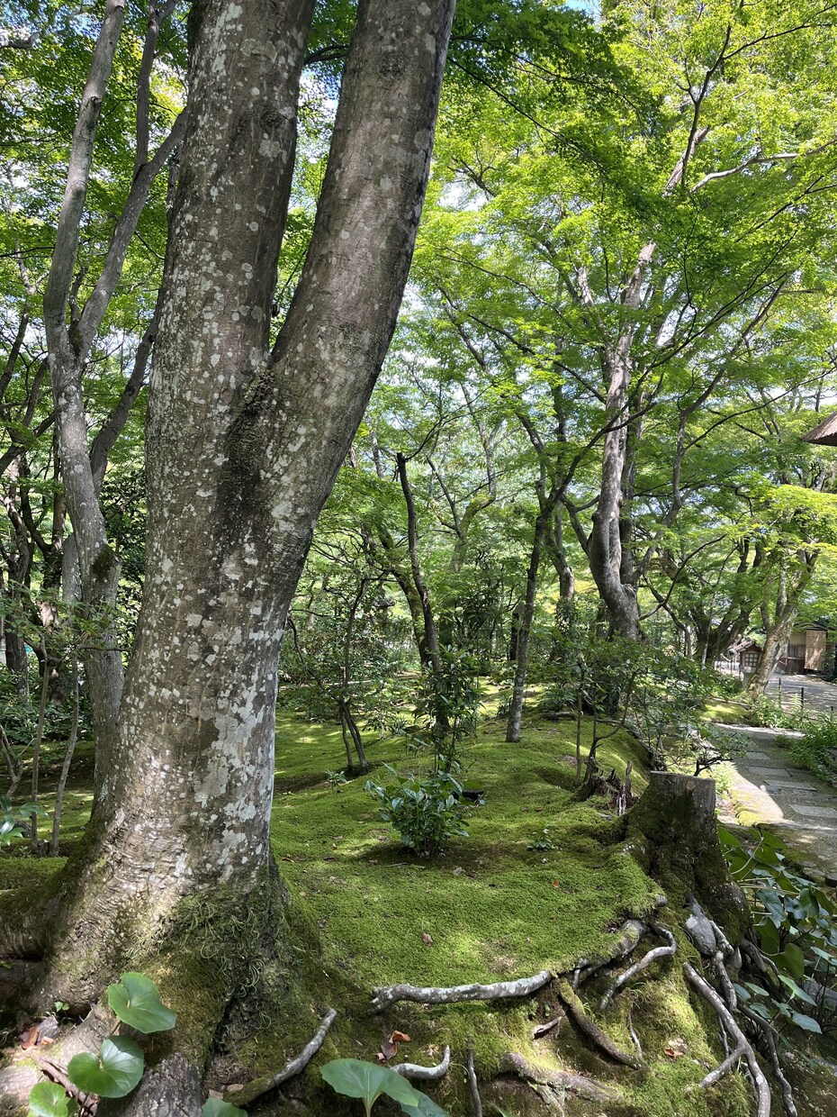 気楽にお話しませんか^ ^是非宜しくお願いします どんな内容でも歓迎です！リラックスしてお話しでれば◎ イメージ1