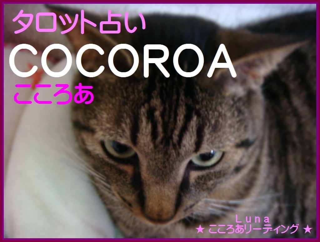 あなたの心♡秘めた想いを、シッカリ！聞きます ♡秘めた恋専科♡誰にも言えない心を話して。明日は笑顔で☆ イメージ1