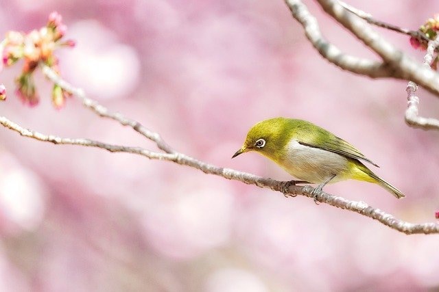 何分でも大丈夫☆あなたのお悩みに優しく寄り添います 〜ただ聴いて欲しい！というあなたへ〜 イメージ3