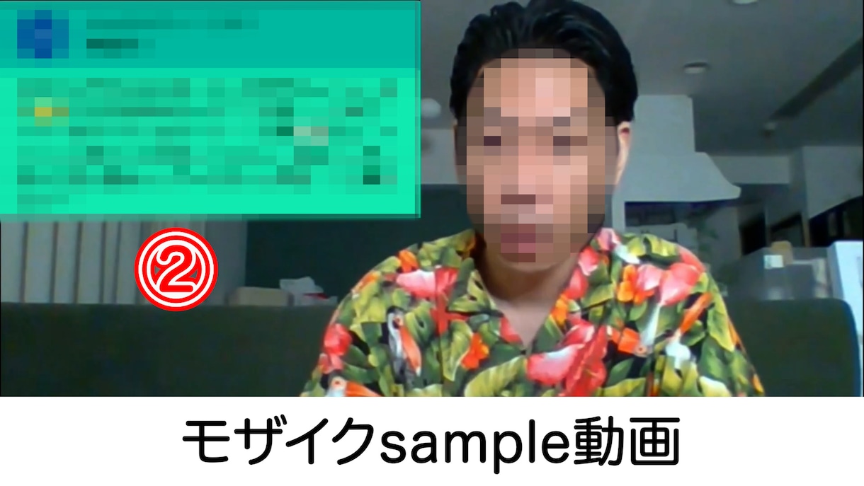 モザイク（顔・声・音）加工/ぼかし処理/承ります 当日納品も可能です！スピード納品が自慢！長い動画でも対応可能 イメージ2