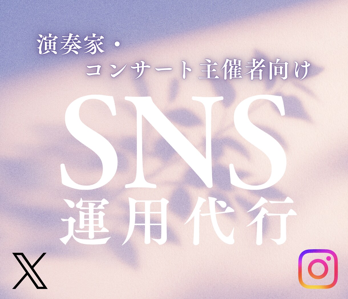 演奏会集客のためのSNS運用を代行します 演奏家・コンサート企画の世界観づくりからサポート イメージ1