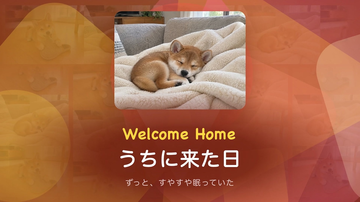 クーポン配布中 うちの子の思い出動画作ります 9/30までお気に入りで30%オフ 写真と動画で約3分 イメージ1