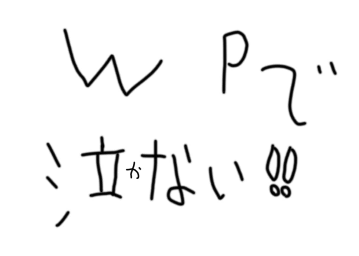 WP泣寝入りの方、救済致します 依頼して高額な金額を取られたが何も...と言う方 イメージ1