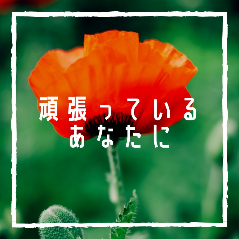 職場の上司や先輩からのパワハラの悩みをお聞きします 現役相談員☆実績有☆ボイスサンプルをぜひお聞き下さい イメージ7