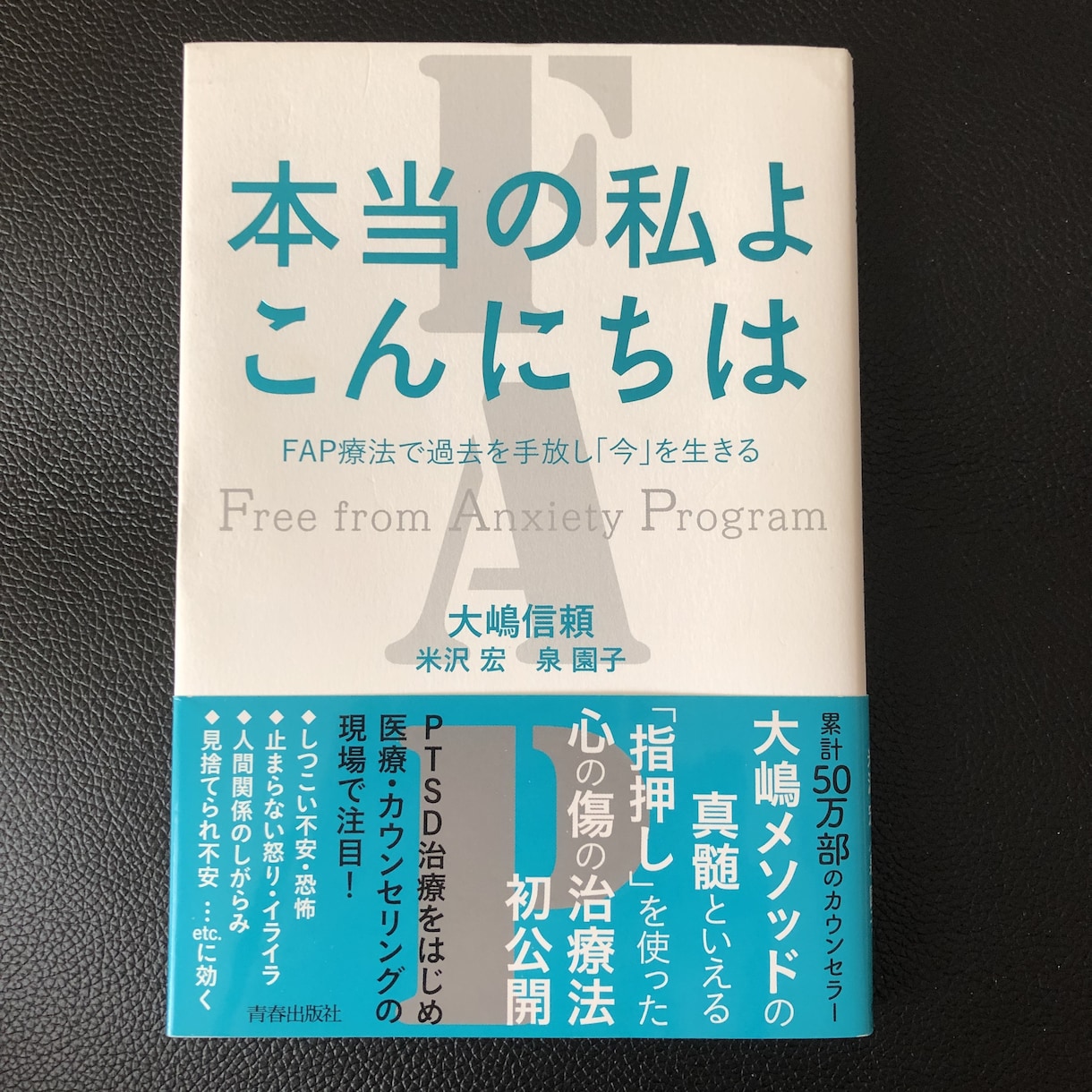2回目以降の方・FAP療法でカウンセリングします あらゆる悩みの解消・トラウマ解消・能力発揮を目指す方へ イメージ2