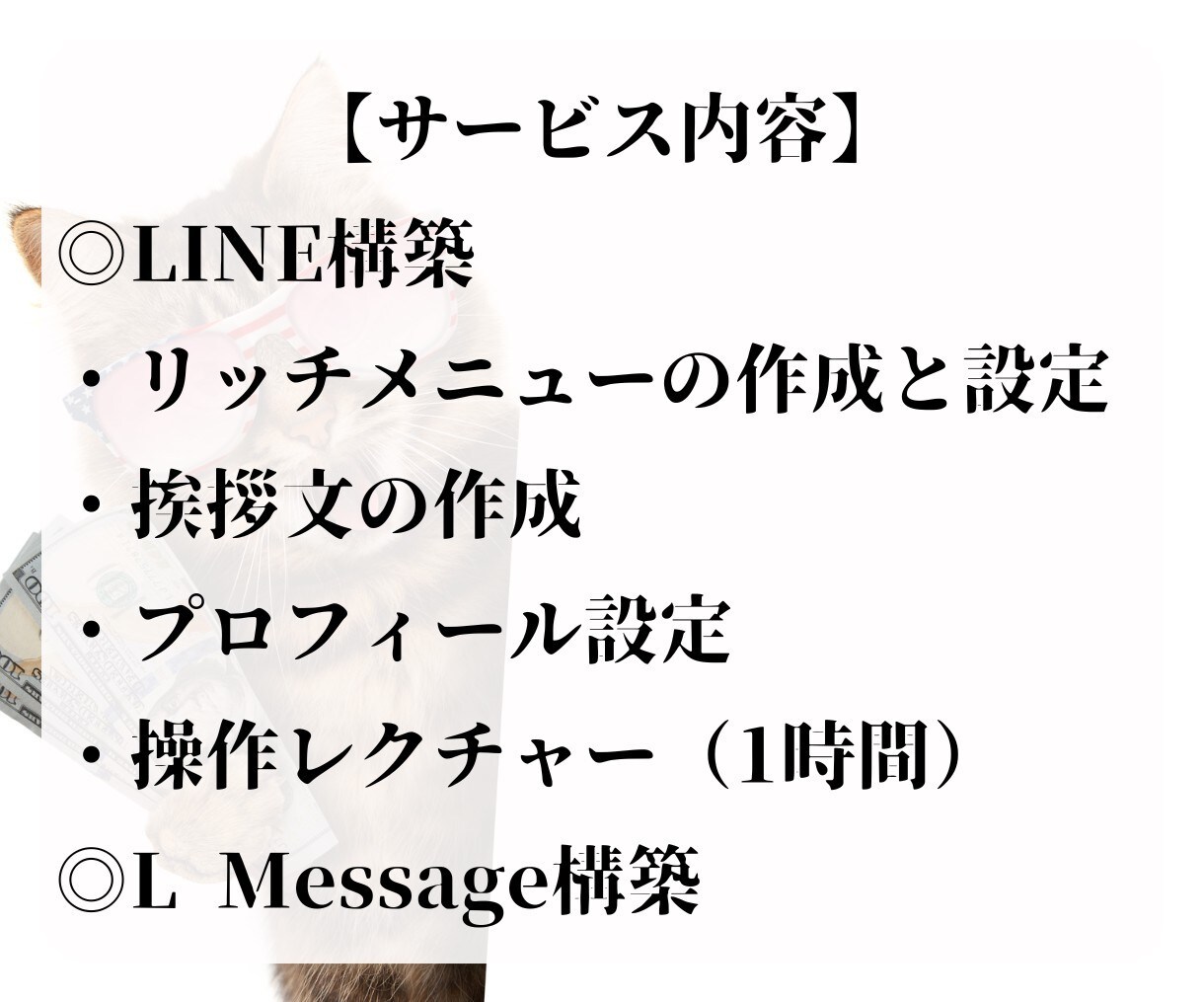 LINE公式アカウント作成もエルメの導入もやります エルメ導入で性能アップしたLINEを制作いたします！ イメージ7
