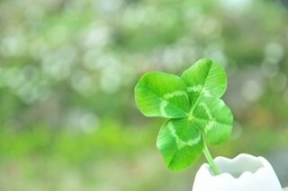 キャバ嬢経験アリ！の主婦がお話伺います 気楽に文字でお話ししませんか？(^ ^) イメージ1