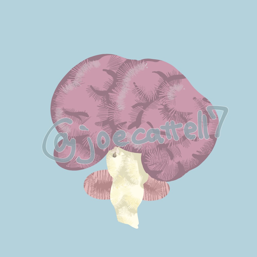 メディカル・医療系イラストを作成します 顧客や患者さま向けに丁度いい画像がない？お任せください！ イメージ5