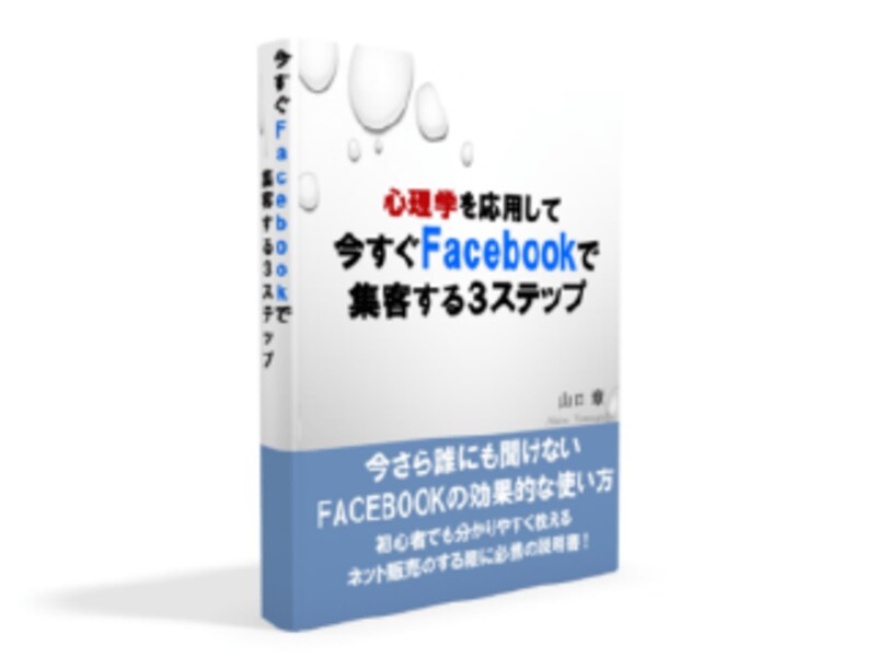 心理学を活用したFacebook集客を教えます ネットが苦手でも一番簡単にできるネット販売の仕組み作り イメージ1