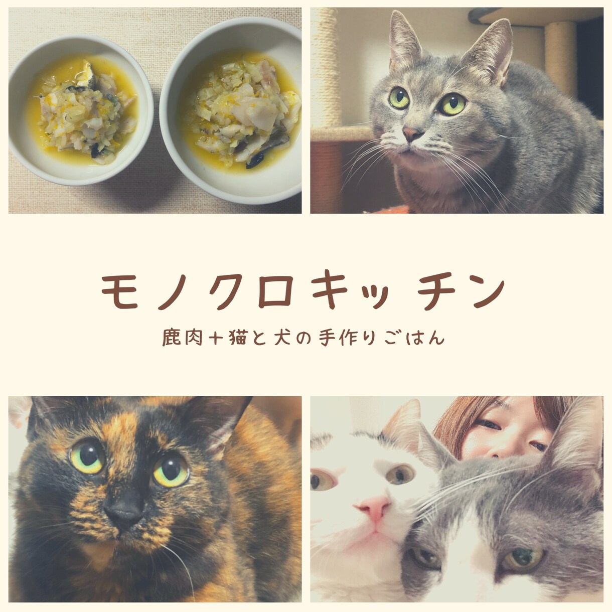 猫ちゃんのお食事に関するお悩み相談にのります 食の悩みを解決して飼い主さんも猫ちゃんもしあわせに！ イメージ1