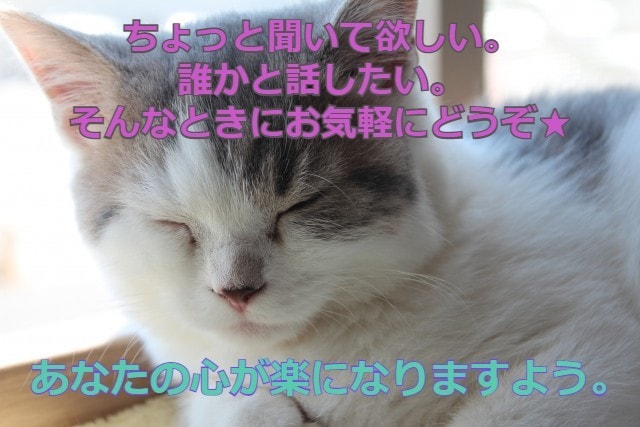 60分間チャットで愚痴、相談何でもお話聞きます ちょっと誰かと話したい…そんなときに気軽にどうぞ★ イメージ1