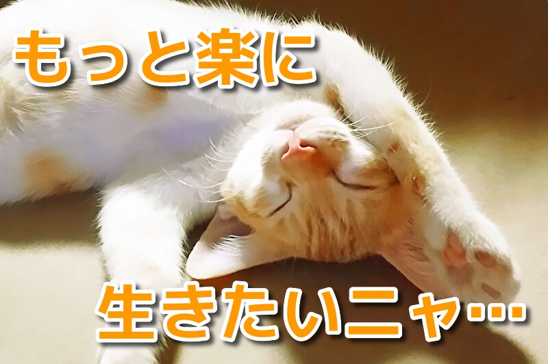 繊細で傷つきやすいあなたの心を癒します HSPのmikiko❁があなたの生きづらさを全て受け止めます イメージ1