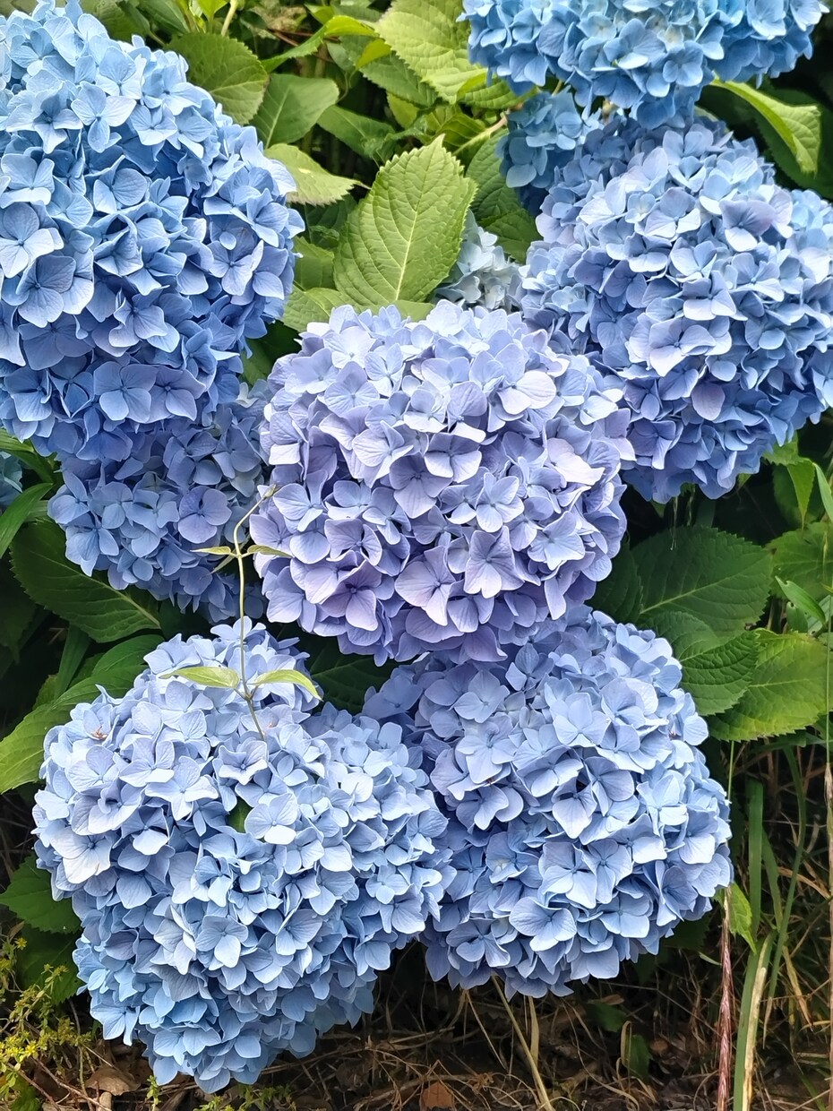 職場の愚痴、なかなか言えないよね。なら私が聞きます 独りで抱え込まないで！いつでも頼れる相談窓口でストレスフリー イメージ8