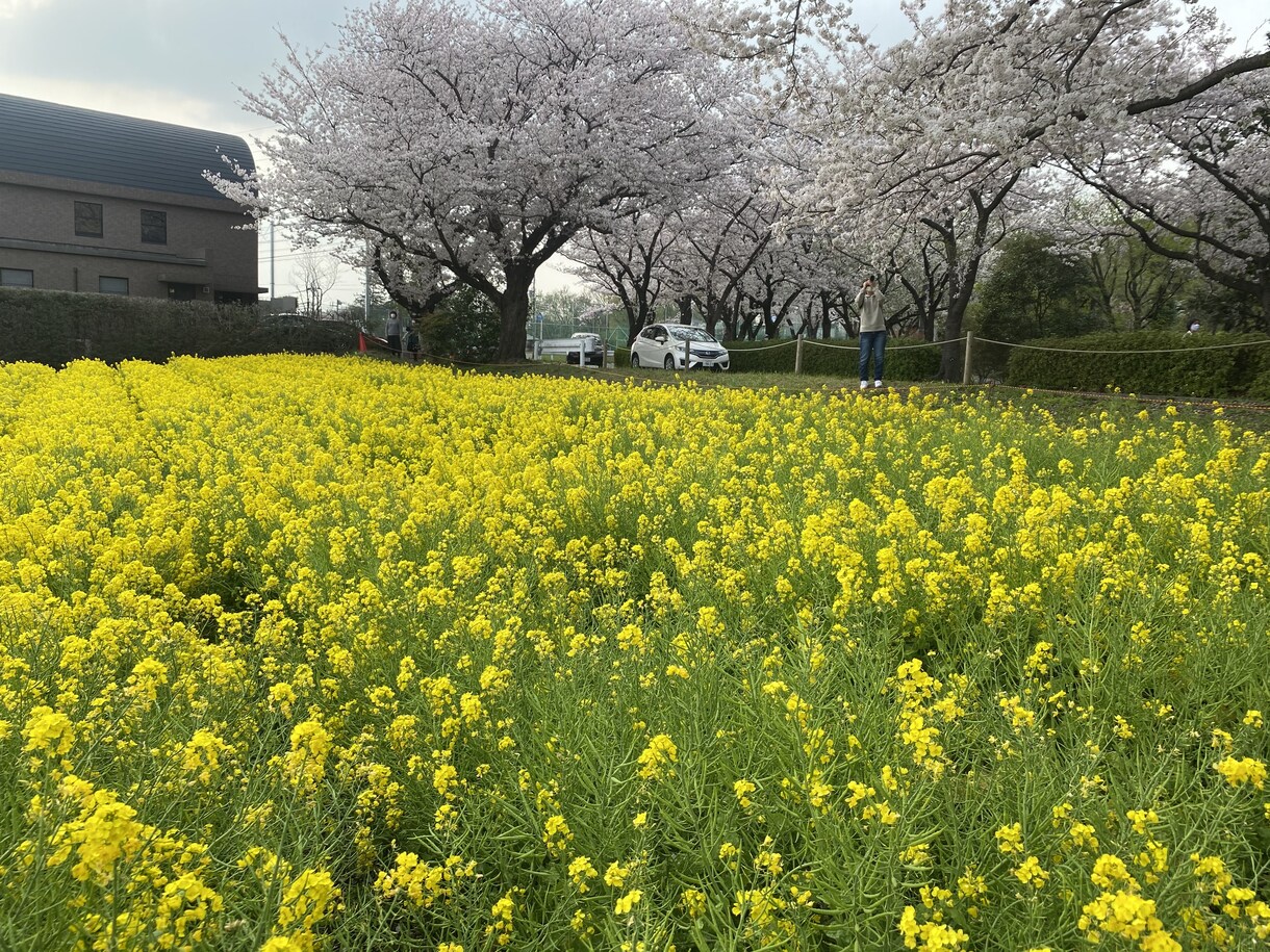 どんな話でも聞きます 小さなストレスから大きなストレスまで、溜め込まずに発散☆ イメージ1