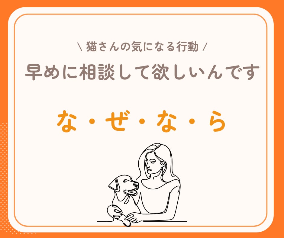 行動専門獣医師が猫の"困った行動"を解決します ★出品記念の為、初回3名まで最低価格でお受けします★ イメージ3