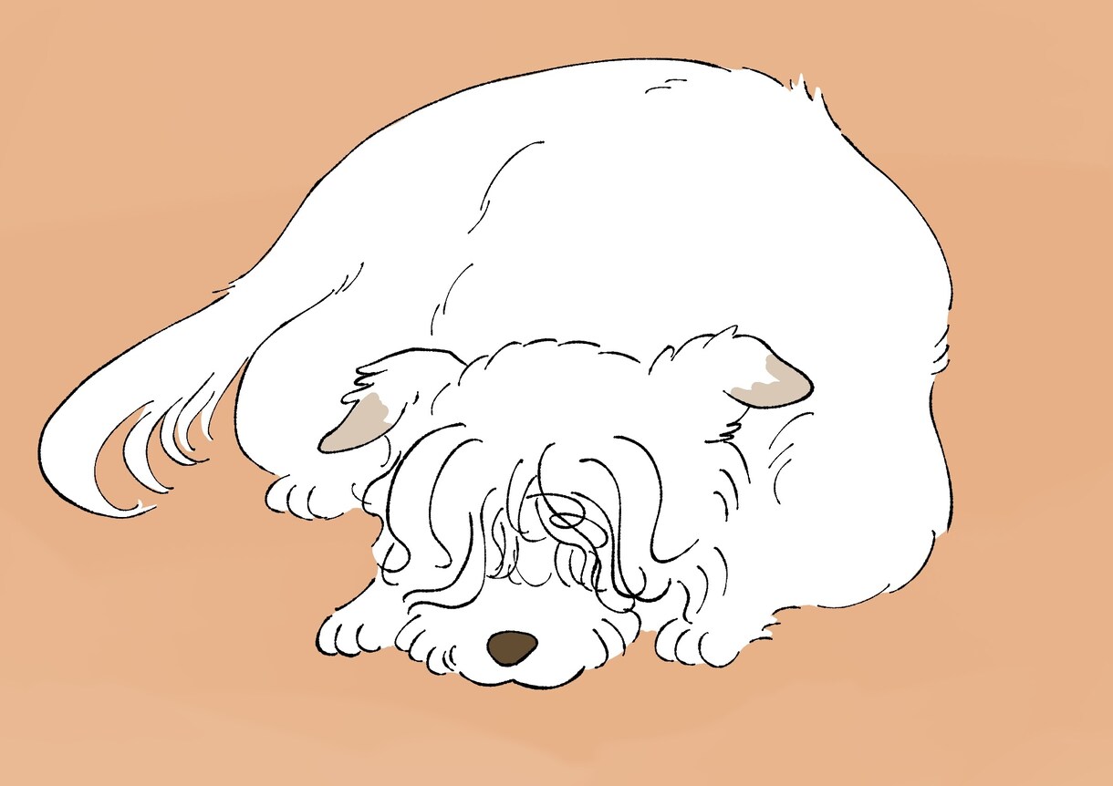 デジタルデータペット(犬猫以外可)の似顔絵描きます デジタルデータのペット(犬猫以外も可。ご相談ください)似顔絵 イメージ2