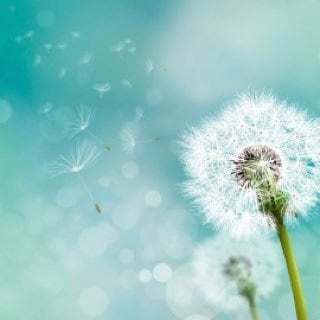 幸せを妨げるエネルギーを解放します 自分を愛したい方、自己肯定感をあげたい方、 イメージ1