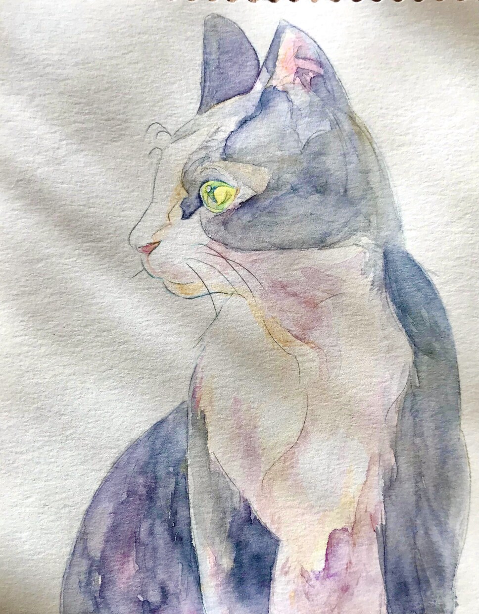 水彩イラスト描きます 透明水彩でMV等の一枚絵を描きます！和服、少女、動物… イメージ6
