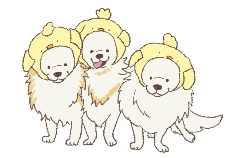 似顔絵やアイコンなど幅広く対応します 写真からイラストや似顔絵を描きます◎ イメージ10