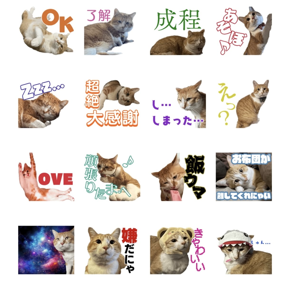 ペットの写真を使って作成します 普段使いから特殊用語まで承ります イメージ1