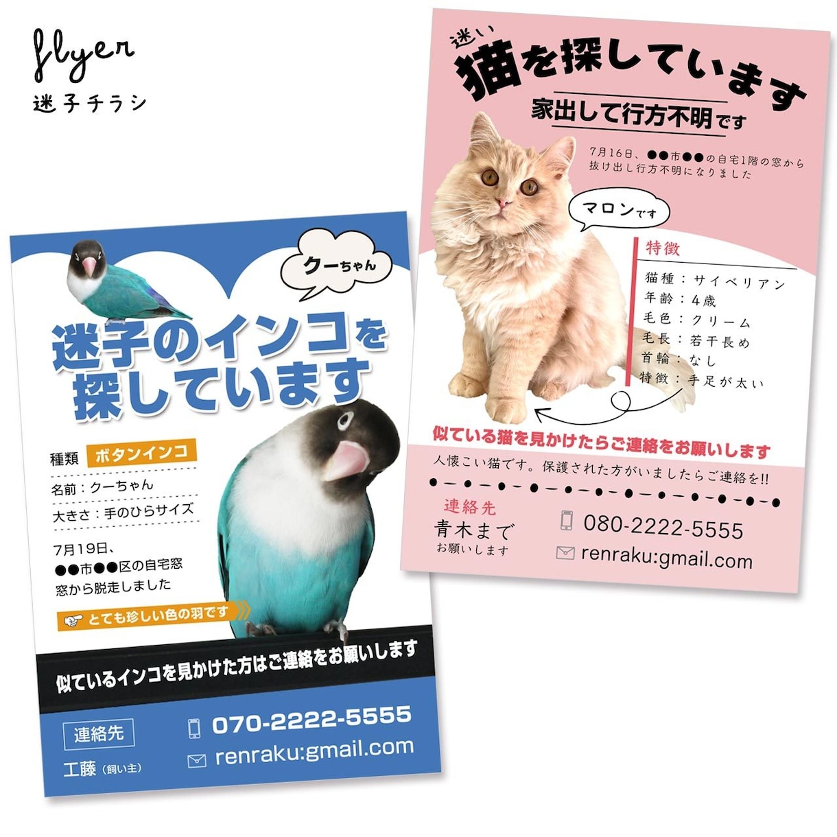 迷子チラシ（猫･犬･鳥など）をお作りします 最愛のお子さんを目立つようにデザインします イメージ2