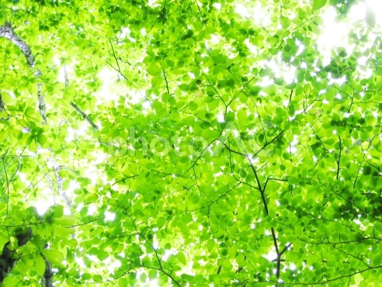 苦手な人との関わりを減らします 特定の人物との関わりを減らし、あなたのストレスも軽減！ イメージ1