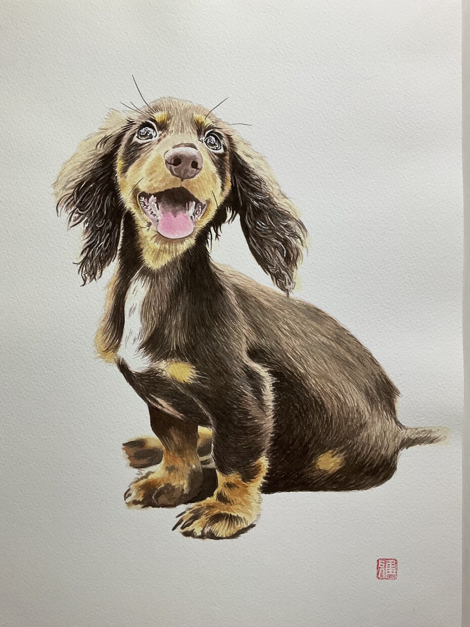 写真をもとに人物、ペットの似顔絵を描きます 透明水彩絵の具で厚めの水彩紙にポートレートを描きます。 イメージ9